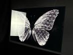 Mike Blackarts - Luxurious LV Butterfly Artwork with