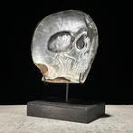 Intricaat gesneden parelmoer schelp - menselijk