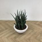 kunst Sanseveria met Elho kunststof plantenbak hoogte 90 cm,, Ophalen of Verzenden