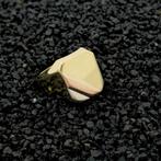 Tricolor gouden zegelring; heren | Anjer (witgoud), Sieraden, Tassen en Uiterlijk, Ringen, Gebruikt, Overige kleuren, 19 tot 20