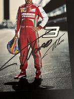 Ferrari - Fernando Alonso - Fankaart, Nieuw
