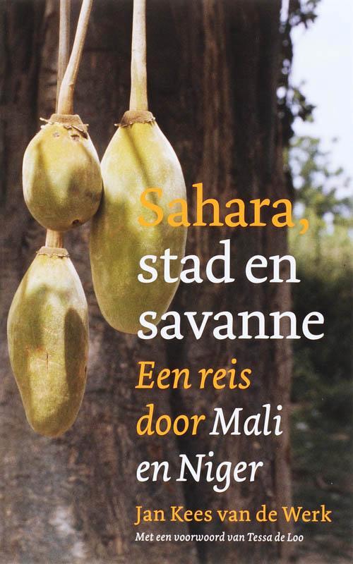 Sahara, stad en savanne 9789068324792 J.K. van de Werk, Boeken, Reisverhalen, Zo goed als nieuw, Verzenden
