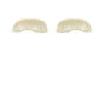 Sint wenkbrauwen buffelhaar (Yak) deluxe, Verzenden, Nieuw, Feestartikel