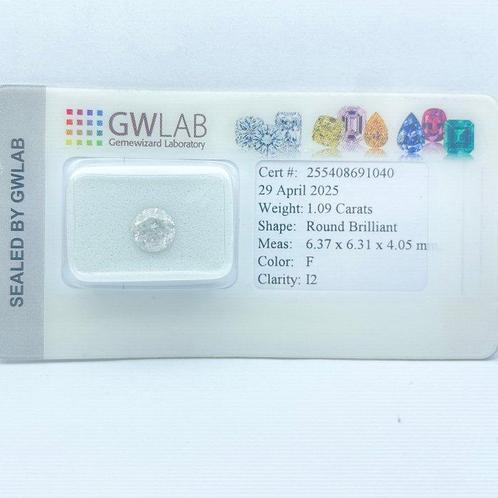 Zonder Minimumprijs - 1 pcs Diamant (Natuurlijk) - 1.09 ct -, Sieraden, Tassen en Uiterlijk, Edelstenen