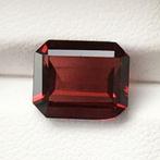 Zonder Minimumprijs Rood Granaat  - 4.77 ct - International, Nieuw