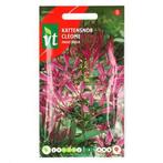 Bloemzaden Kattensnor | VT, Tuin en Terras, Bloembollen en Zaden, Verzenden