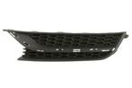 Ventilatiegrille, bumper, Verzenden, Nieuw