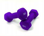 Dumbell combinatie set 10 kg totaal - met koffer, Ophalen of Verzenden, Nieuw