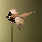 Fazant Vliegend Taxidermie Opgezette Dieren By Max, Verzamelen, Ophalen of Verzenden, Nieuw, Vogel, Opgezet dier