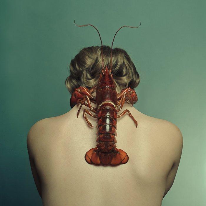 Ursula van de Bunte - Handle with Claws, Antiek en Kunst, Kunst | Designobjecten