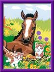 Schilderen op Nummer - Paard met Kittens | Ravensburger -
