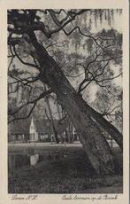 LAREN N.H. - Oude boomen op de Brink, Verzamelen, Verzenden, Gelopen