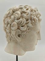 sculptuur, Testa di Eros - 33 cm - marmerstof