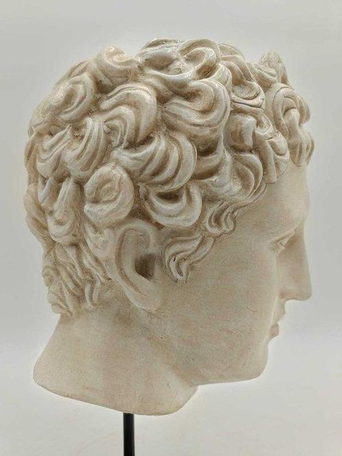 sculptuur, Testa di Eros - 33 cm - marmerstof, Antiek en Kunst, Curiosa en Brocante