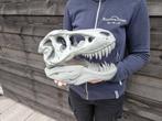 Dinosaurus Schedel - T-Rex Replica - 20.5 cm - 28 cm - 15 cm, Antiek en Kunst, Curiosa en Brocante