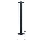 Traditionele 2-kolomsradiator - 1500 x 202 mm -, Doe-het-zelf en Verbouw, Verwarming en Radiatoren, Verzenden, Nieuw