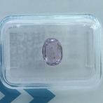 Zonder Minimumprijs Violet Saffier - 1.66 ct - International, Sieraden, Tassen en Uiterlijk, Edelstenen, Nieuw