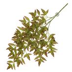 Kunstplant Nandina - Kunstplanten - Benodigdheden - Overig, Nieuw, Verzenden