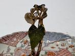 Schotel - Verguld messing - Imari Japan