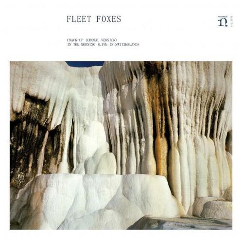 vinyl single 7 inch - Fleet Foxes - Crack-Up (Choral Vers..., Cd's en Dvd's, Vinyl Singles, Zo goed als nieuw, Verzenden