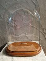 Globe - 1951-1960 - Grote ovale stolp in glas in goede staat, Antiek en Kunst