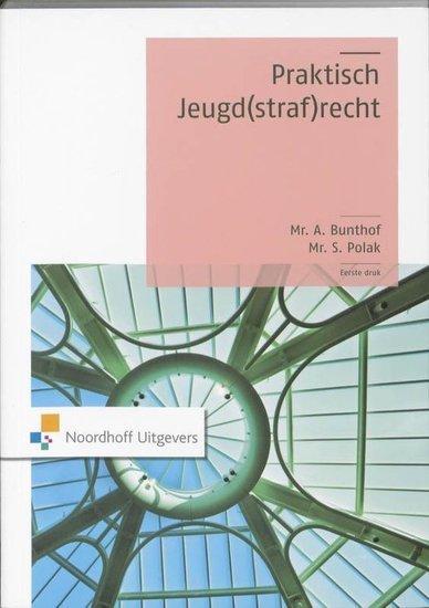 Praktisch Jeugd(straf)recht | 9789001794316, Boeken, Studieboeken en Cursussen, Verzenden