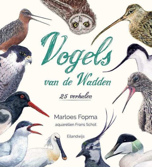 Vogels van de Wadden 9789083162997 Marloes Fopma, Boeken, Hobby en Vrije tijd, Gelezen, Verzenden