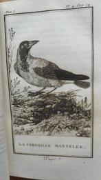 Buffon-Lacépède - Histoire naturelle des oiseaux. Volume 43,, Antiek en Kunst, Antiek | Boeken en Bijbels