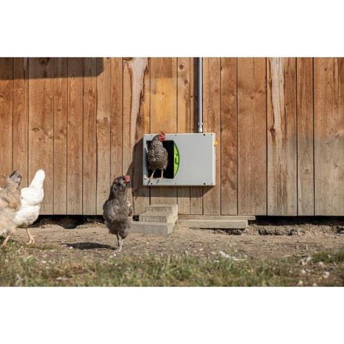 Smartcoop kippendeur - kerbl, Dieren en Toebehoren, Pluimvee | Toebehoren, Ophalen of Verzenden