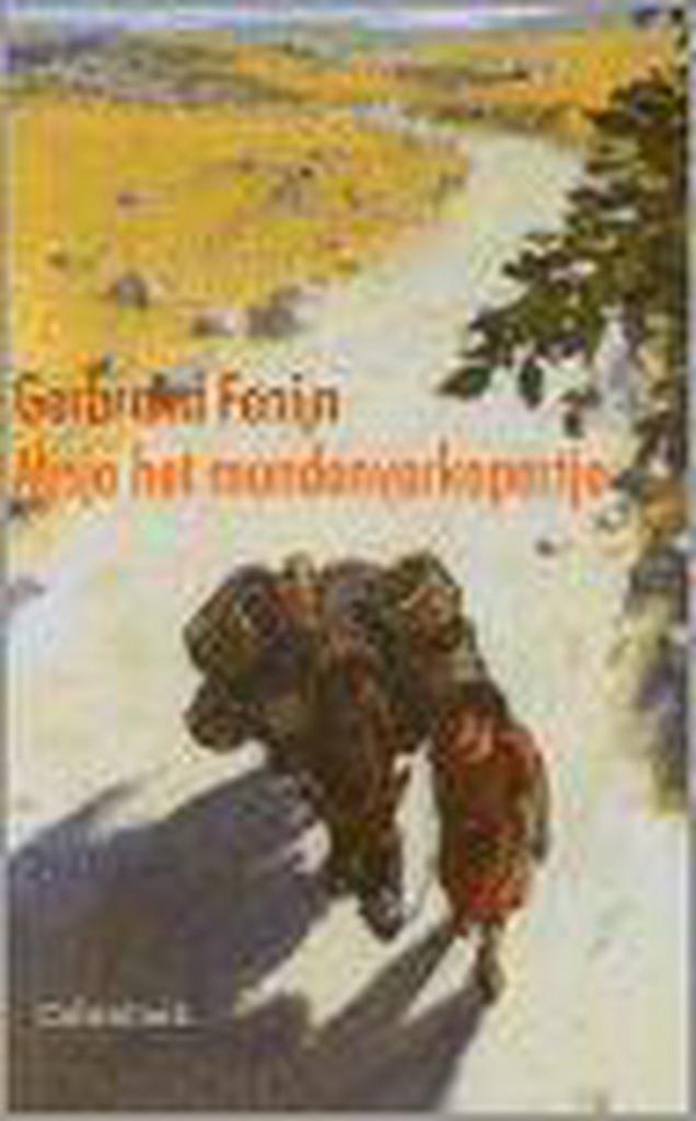 Misja het mandenverkopertje 9789026612282 G. Fenijn, Boeken, Kinderboeken | Jeugd | onder 10 jaar, Gelezen, Verzenden