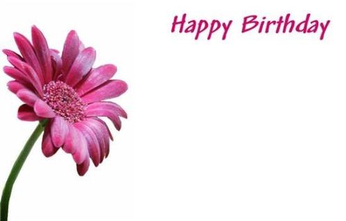 Bloemenkaartjes - 50 stuks happy birthday gerbera pink, Huis en Inrichting, Woonaccessoires | Kunstplanten en Kunstbloemen, Nieuw
