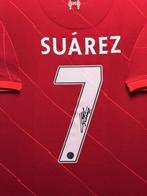 Liverpool - Engelse voetbalcompetitie - Luis Suarez - Shirt, Nieuw