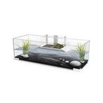 Ciano Tartarium 80 | 64L | 79 x 29,7 x 27,5CM voor, Ophalen of Verzenden, Nieuw