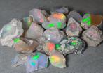 65,8 ct - Prachtige opalen Ruw- 13.16 g