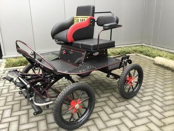 PONY TRAINER beschikbaar voor biedingen