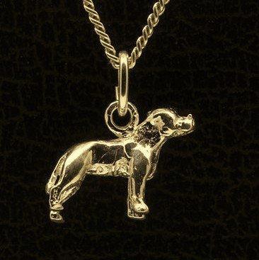 Gouden Staffordshire bull terrier oren gecoupeerd ketting..., Sieraden, Tassen en Uiterlijk, Kettinghangers, Verzenden