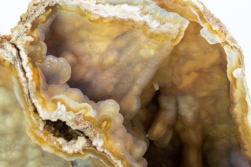 Groot geagatiseerd koraal met interessante botryoïdale en, Verzamelen, Mineralen en Fossielen