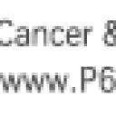 Bilstein B6 OE Replacement 17-20 Mazda CX-5 Rear Shock, Ophalen of Verzenden, Nieuw