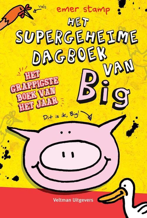Het supergeheime dagboek van Big 9789048310203 Emer Stamp, Boeken, Kinderboeken | Jeugd | onder 10 jaar, Gelezen, Verzenden