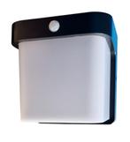 Buitenlamp Corgi zwart RAL 9005 + PIR bewegingssensor | LED, Verzenden, Nieuw
