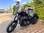 Harley-Davidson - Sportster Iron - 883 cc - 2017, Motoren