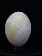 carved Ostrich Egg decorated with world map Taxidermie, Verzamelen, Nieuw