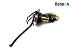 Benzinepomp Honda CBR 900 RR Fireblade 2002-2003 (CBR900RR, Motoren, Onderdelen | Honda, Verzenden, Gebruikt