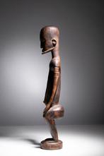 Standbeeld van Hogon - Dogon - Mali