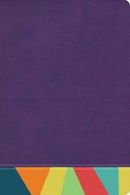 9781087706054 RVR 1960 Biblia de Estudio Arco Iris, morad..., Verzenden, Nieuw