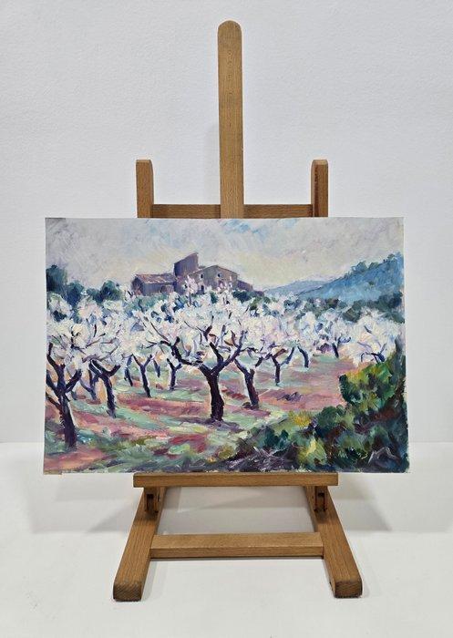 José Mendoza (1943) - Campos de luz, Antiek en Kunst, Kunst | Schilderijen | Klassiek