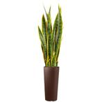 Sansevieria kunstplant, H115cm, Huis en Inrichting, Kamerplanten, Ophalen of Verzenden