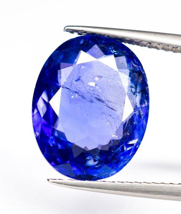 Zonder Minimumprijs Tanzaniet - 9.02 ct - Bellerophon Gemlab, Sieraden, Tassen en Uiterlijk, Edelstenen