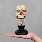 Snijwerk, FREE SHIPPING EU MAINLAND - Stunning Wooden Human, Antiek en Kunst, Curiosa en Brocante