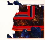 Grizzly Bear - Painted Ruins - DigiPack CD, Verzenden, Nieuw in verpakking
